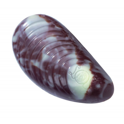 Pralinka Fruits De Mer Milk - Belgické pralinky Leonidas